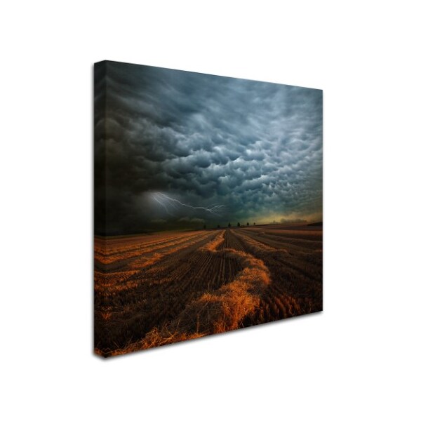 Franz Schumacher 'Mammatus' Canvas Art,18x18